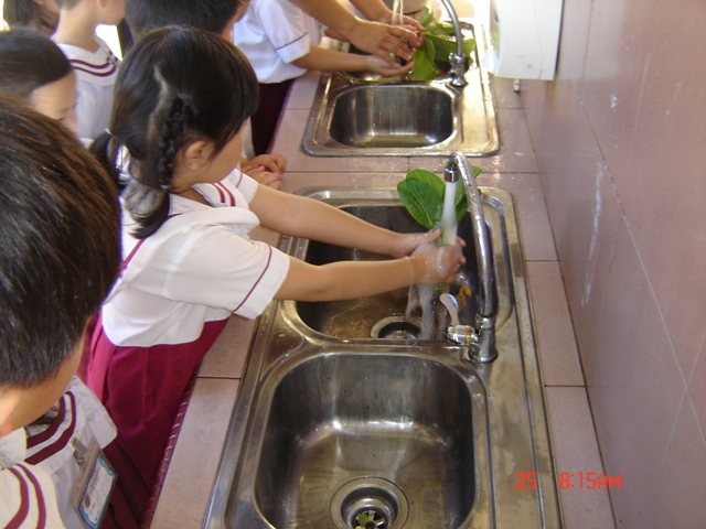 DSC07705.JPG